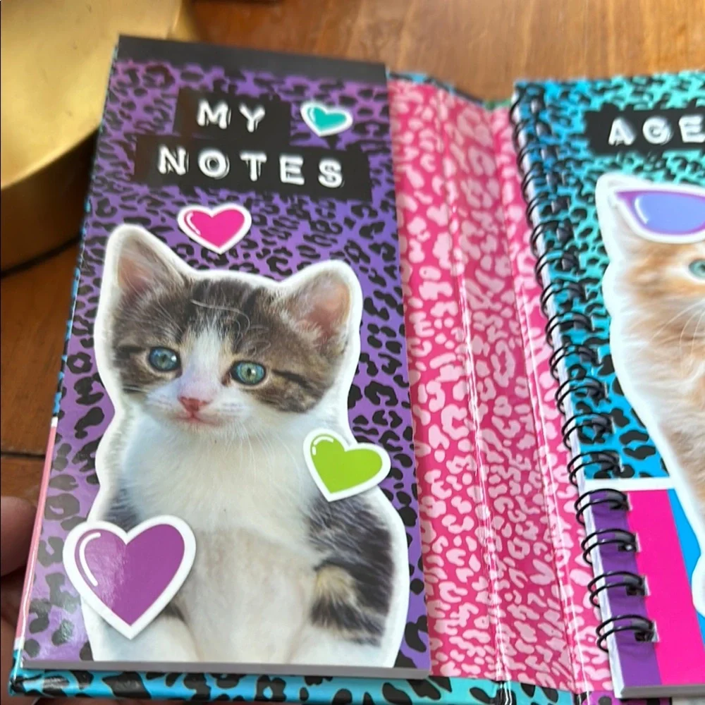 Scholastic Colorful Cat Agenda Notebook